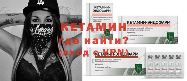 прущие грибы Горно-Алтайск