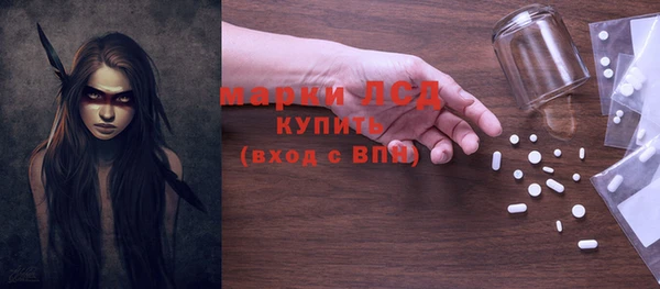прущие грибы Горно-Алтайск