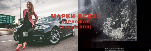 прущие грибы Горно-Алтайск