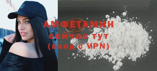 прущие грибы Горно-Алтайск