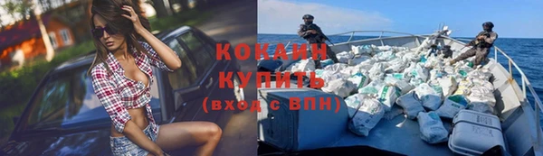 прущие грибы Горно-Алтайск
