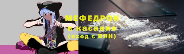 прущие грибы Горно-Алтайск