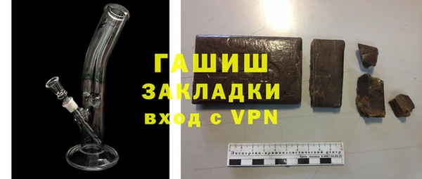 прущие грибы Горно-Алтайск