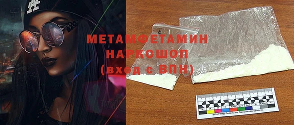 прущие грибы Горно-Алтайск