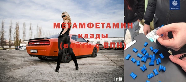 прущие грибы Горно-Алтайск