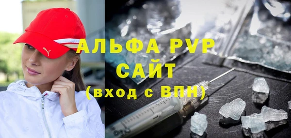 прущие грибы Горно-Алтайск