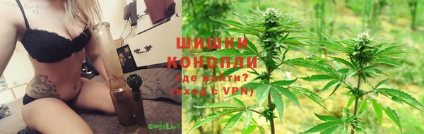 молекула духа Горняк