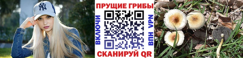 Псилоцибиновые грибы мухоморы  Астрахань 